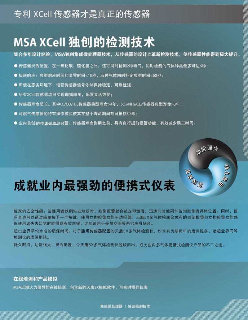 梅思安10172350天鷹5X智能便攜式氣體檢測(cè)儀圖片4